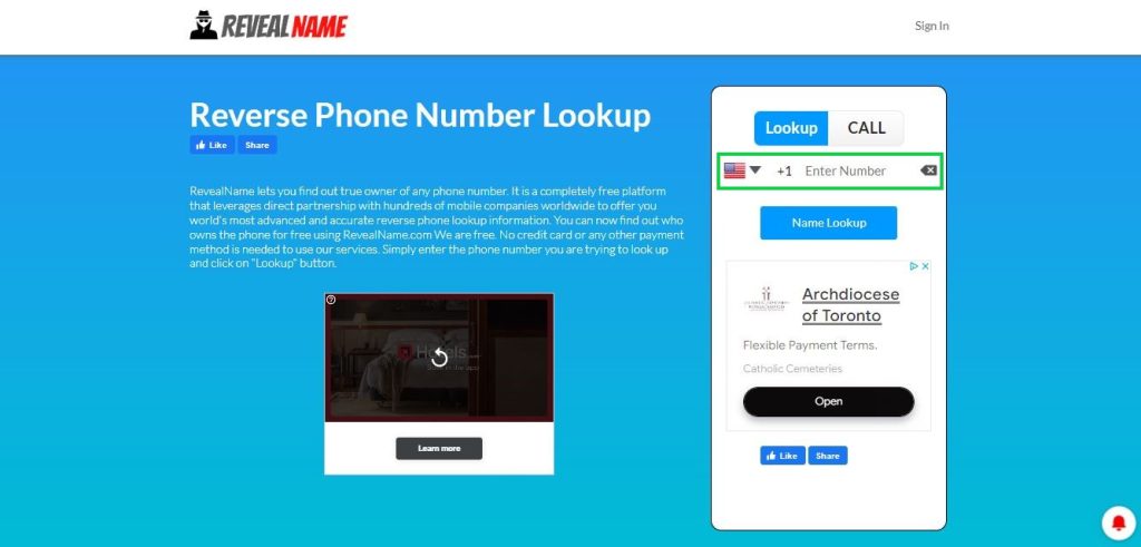 revealname.com opt out homepage