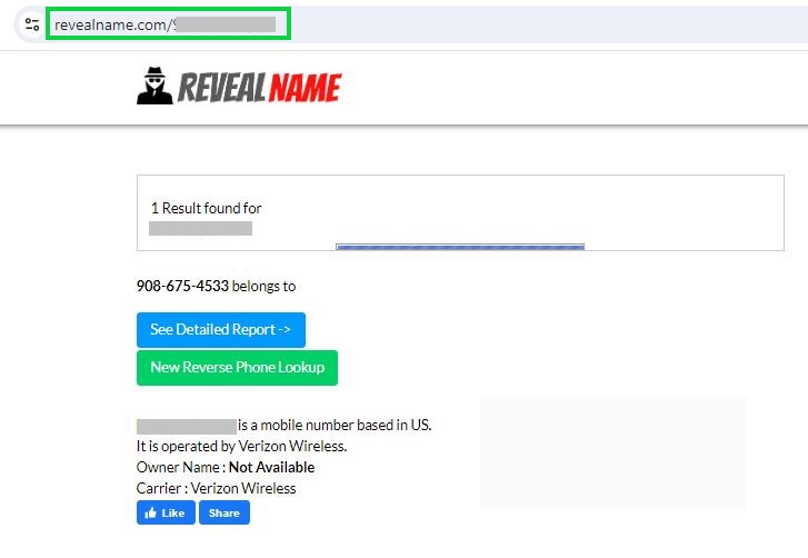 revealname.com opt out profile URL